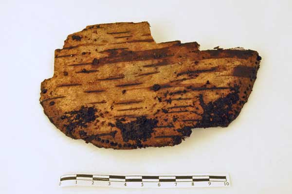 Et stykket av det som sannsynligvis er bunnen av neverkaret. Hullene etter sømmen er synlig i kantene. Foto: Lucy Skinner, NTNU Vitenskapsmuseet.