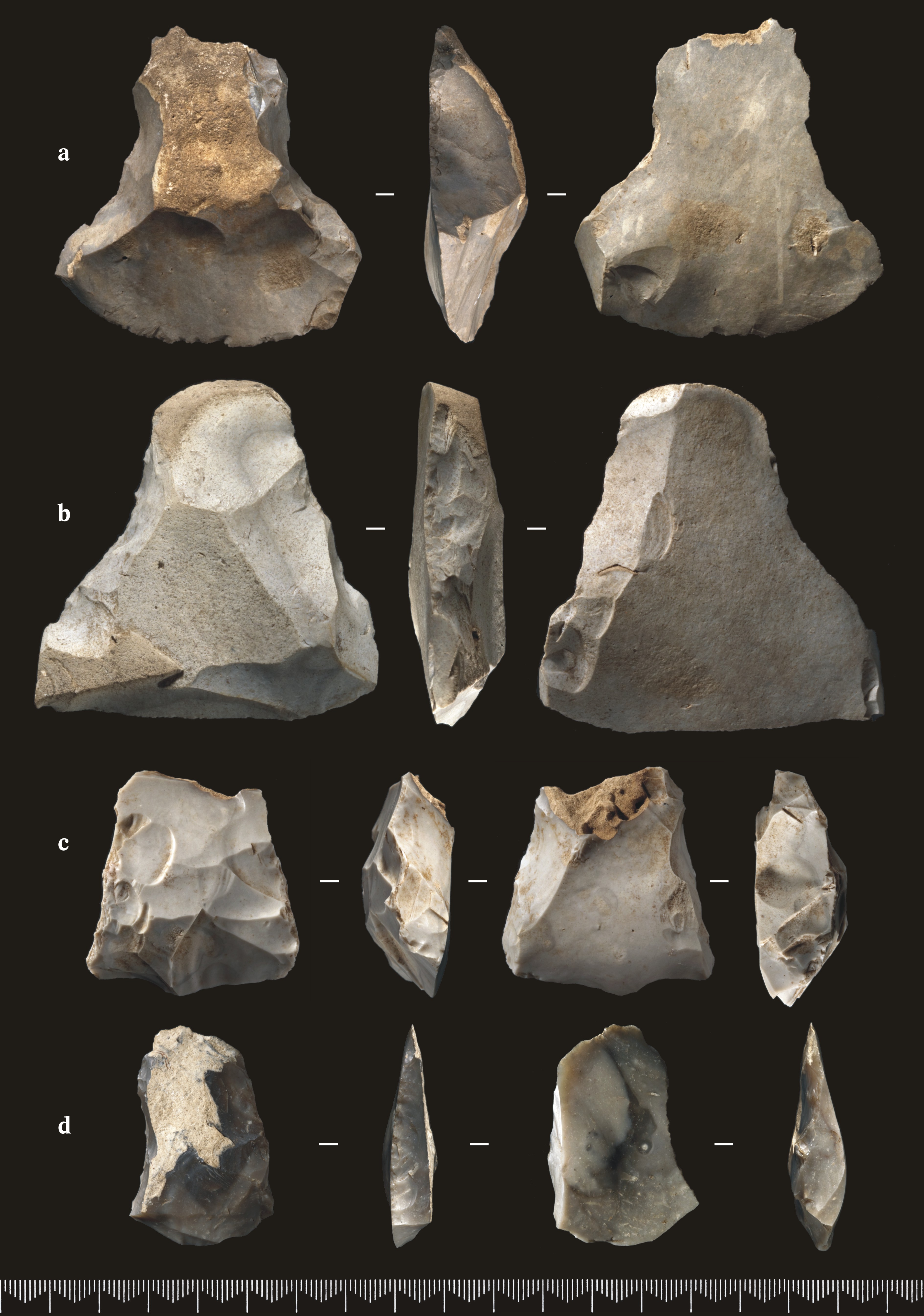 P1_Fig021