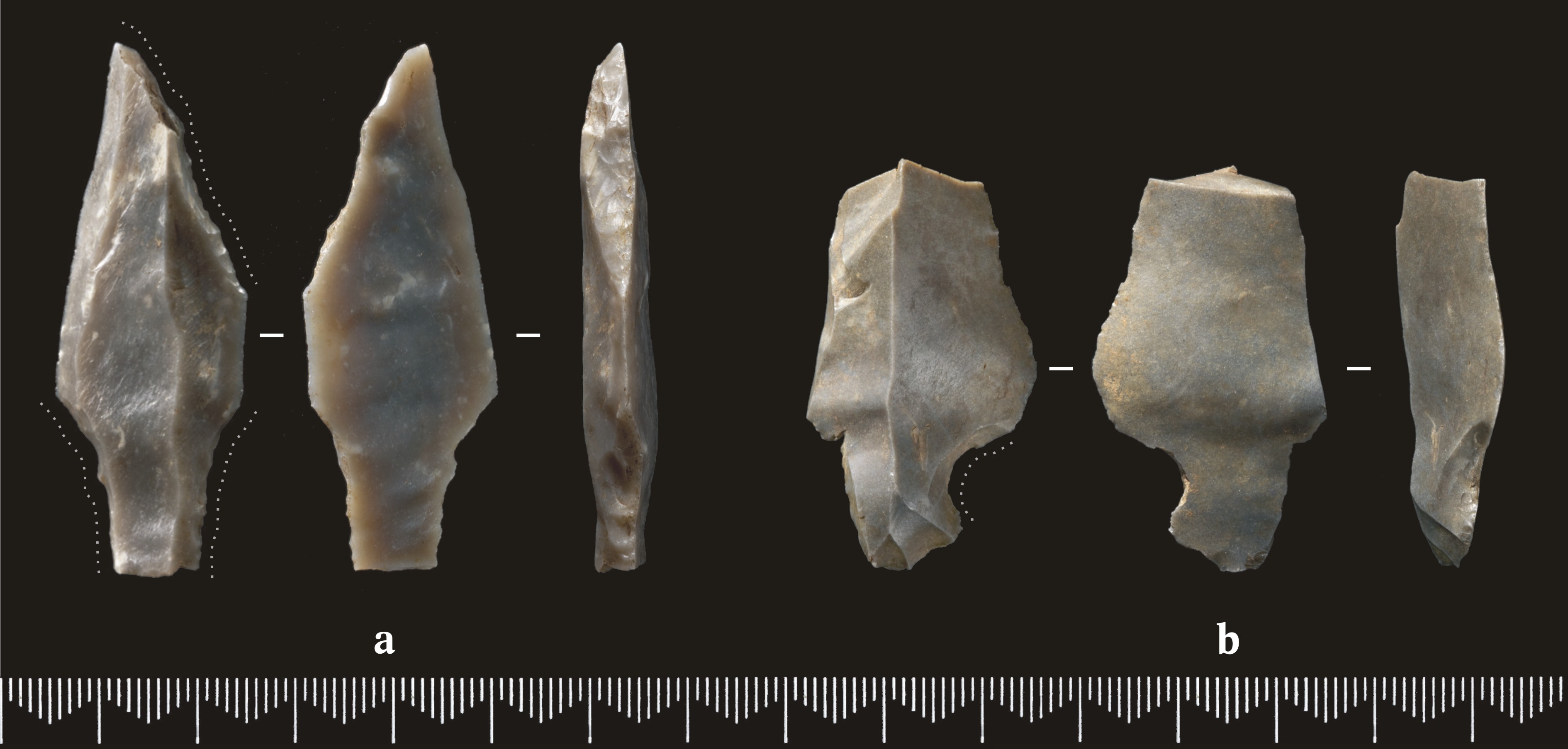 P1_Fig022