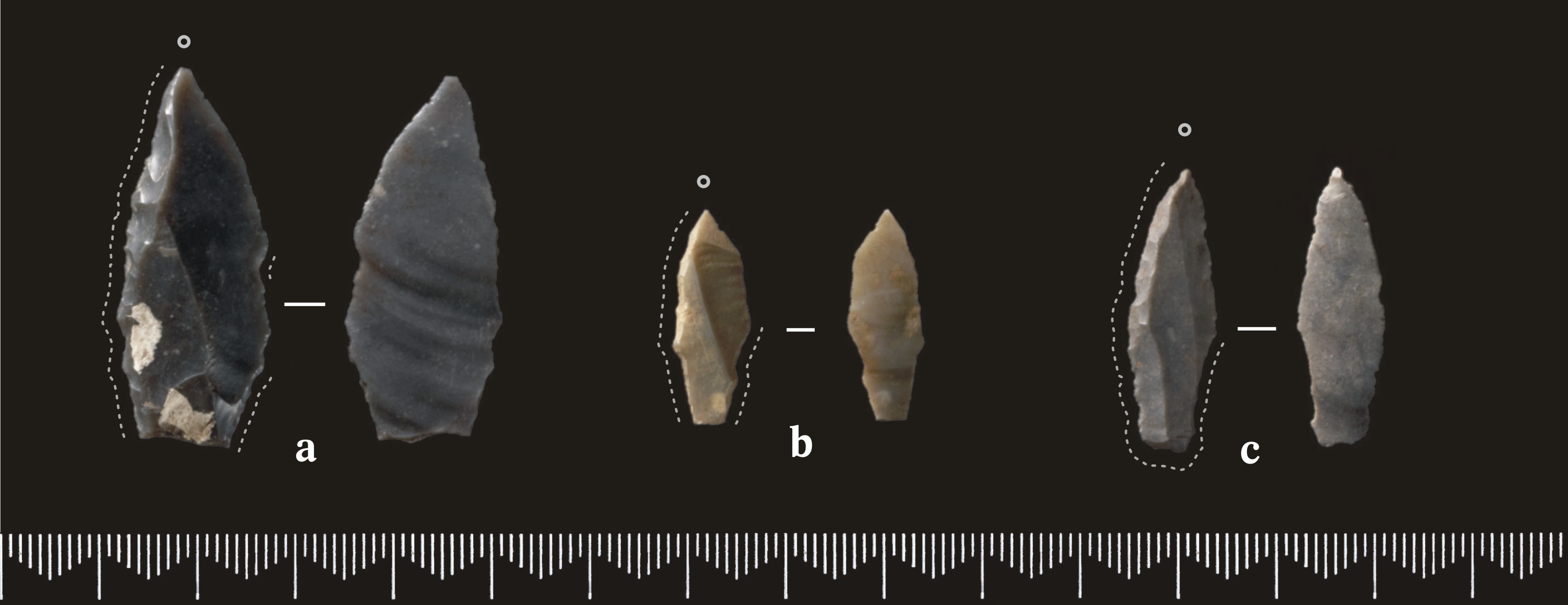 P1_Fig025