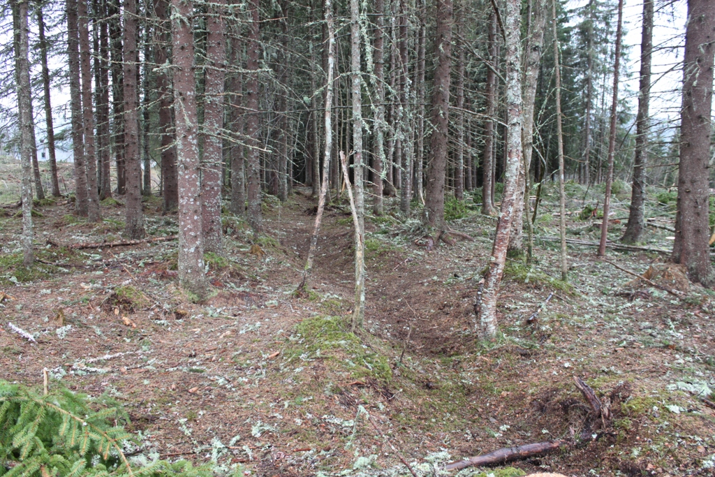 Hulveien slik den ser ut i plan der den går over flata på moreneryggen. Foto: Marte Mokkelbost/NTNU Vitenskapsmuseet.