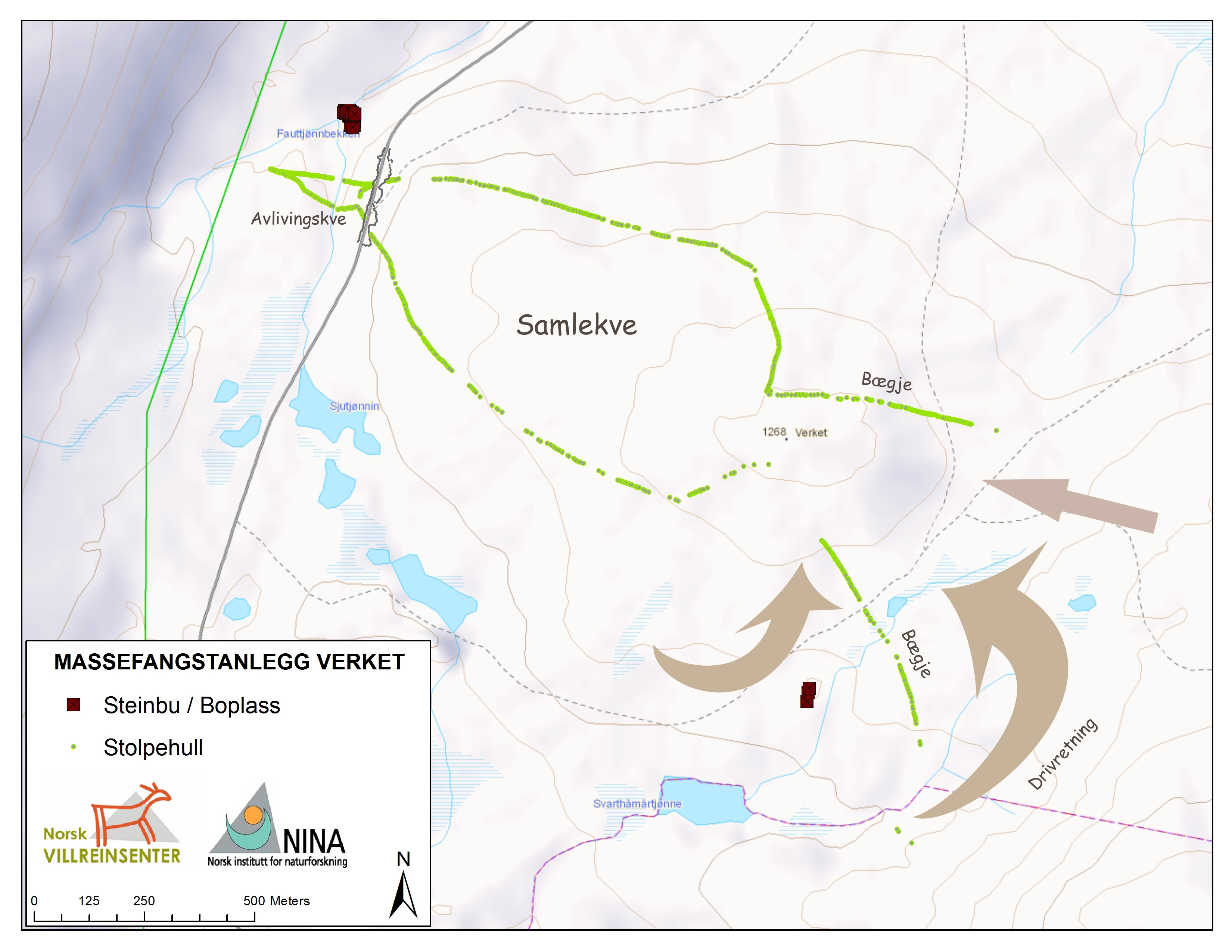 Rusefangstanlegget på Verket med bægjer (ledegjerder), samlekve og avlivingskve framstilt på kart. Vegskjeringane ved Slådalsvegen er antyda med gråe strek. Fangstbuplassen er markert nord for avlivingskvea. «Buplassen» som er markert ved søre bægjet er truleg eit falkefangstanlegg. Kart: NVS/NINA.