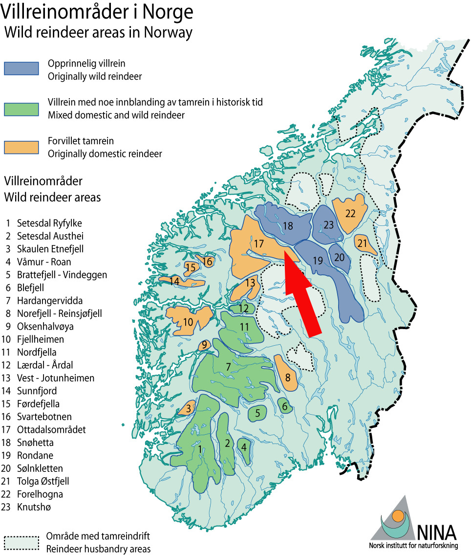 Kart over villreinområda i Noreg. Den raude pila viser området. Kart: NINA
