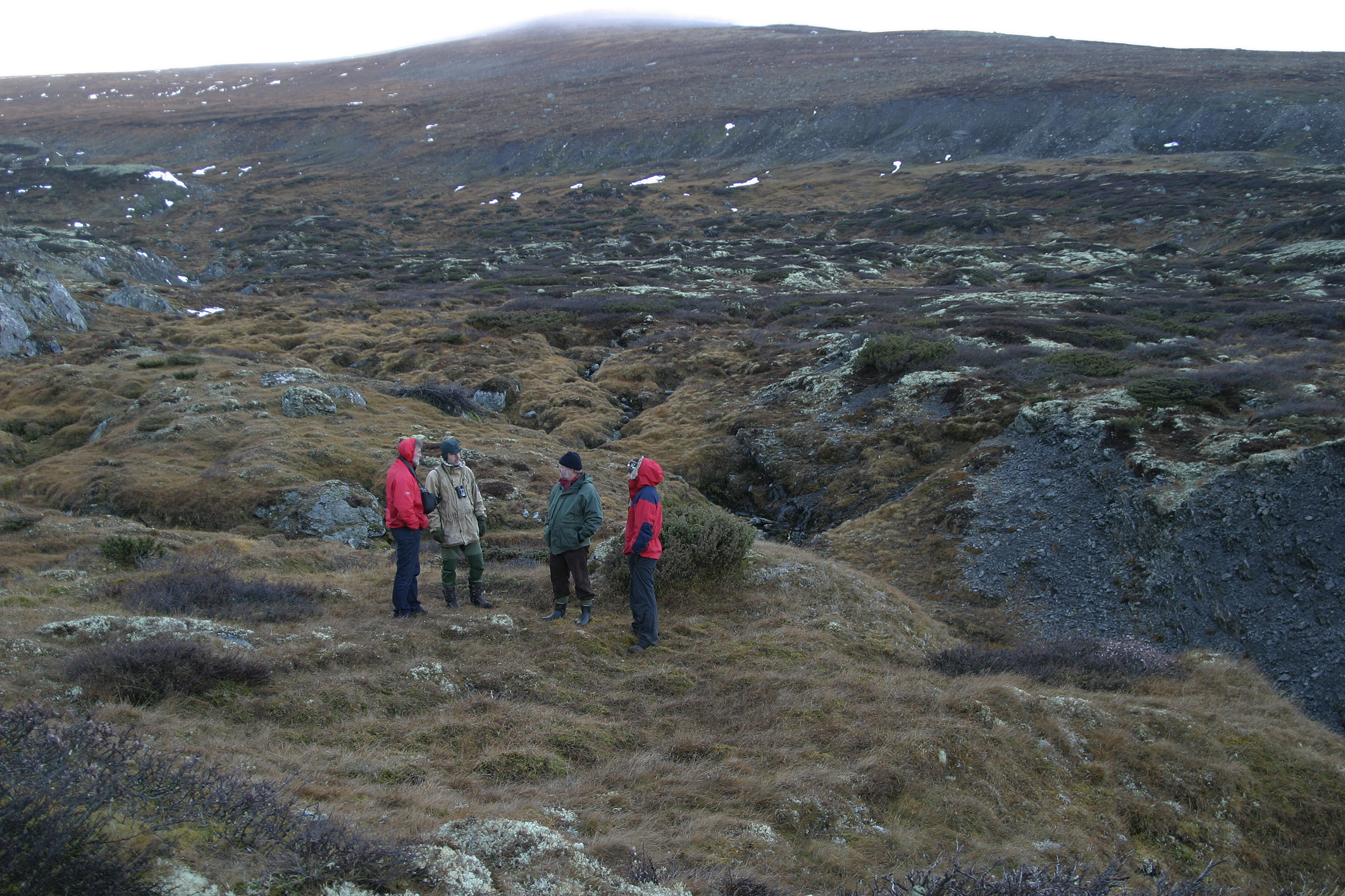 Buplasslokaliteten med spor etter tufter nord for avlivingskvea på Verket-anlegget. Bildet er teke mot sørvest. Foto: Per Jordhøy©.