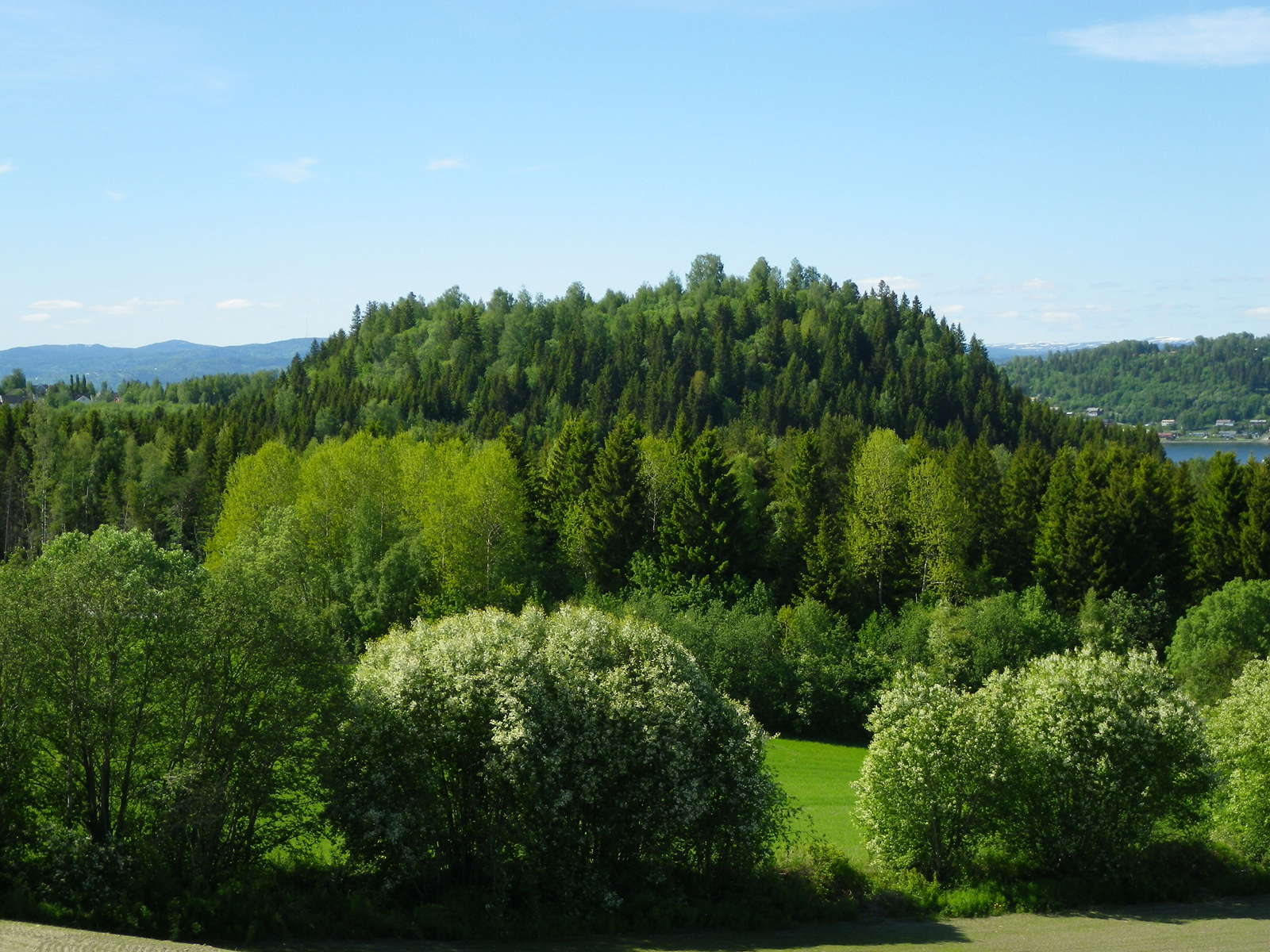 På Halsstein ved Levanger ligger det en borg som var bebodd i folkevandringstid. Foto Ingrid Ystgaard, NTNU Vitenskapsmuseet