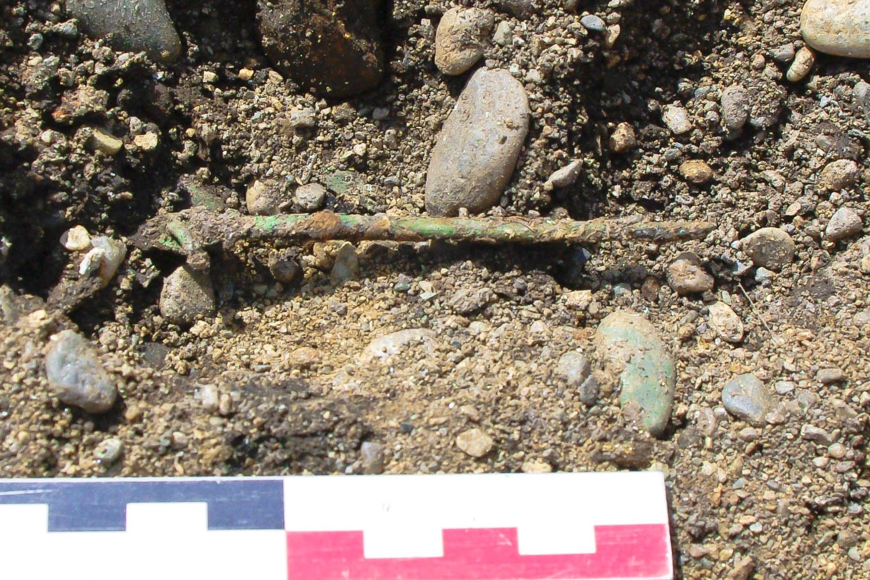 Ringnål in situ i grophuset. Foto: Marte Mokkelbost, NTNU Vitenskapsmuseet.