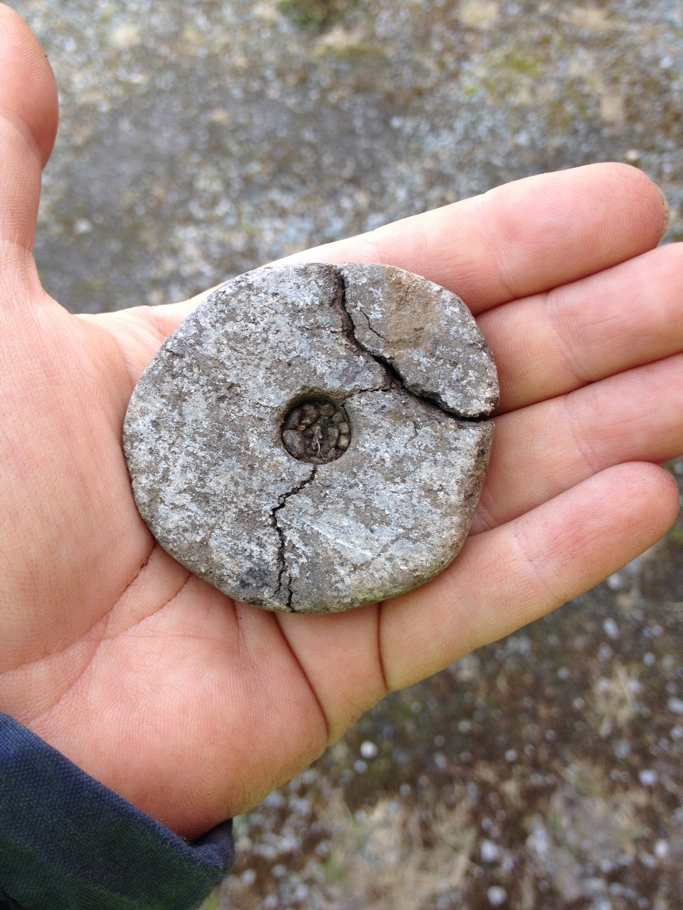 Et vevlodd i kleberstein ble funnet i det største langhuset. Vevloddet er fra vikingtid. Foto: Marte Mokkelbost, NTNU Vitenskapsmuseet.