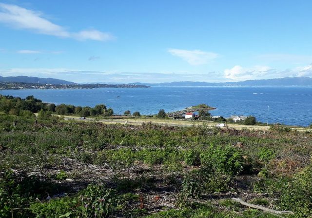 Fra røysene på Være ser man ut over Trondheimsfjorden. Foto: Kari Berg Dyrendahl, NTNU Vitenskapsmuseet