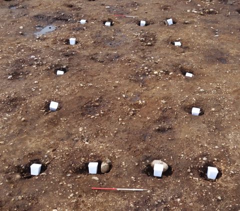 Bokser med makrofossilprøver står oppi stolpehullene i Hus 1
